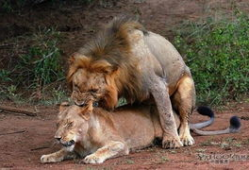 做爱过程视频,一次亲密接触的全程揭秘